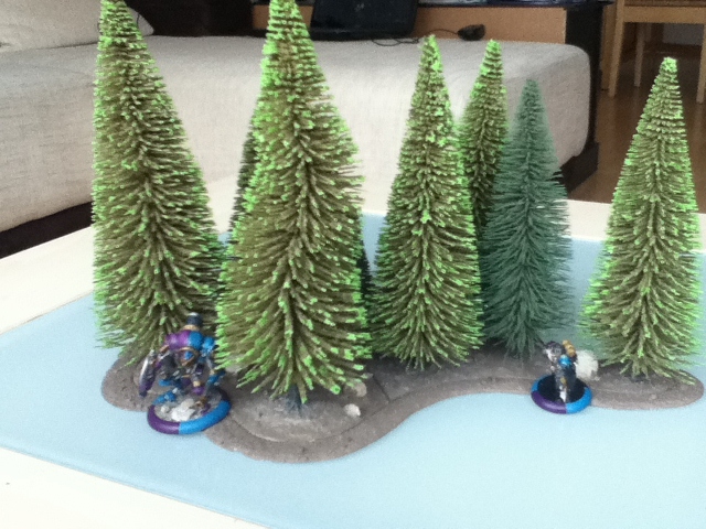 IMG_0087 (640x480).jpg